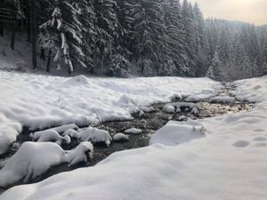 chalet iarna3