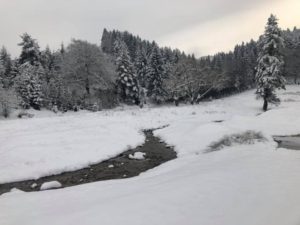 chalet iarna5