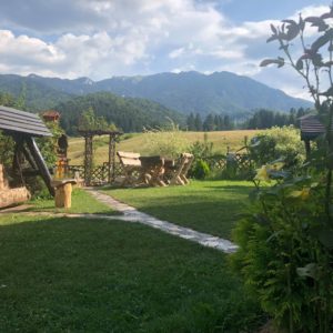 view9